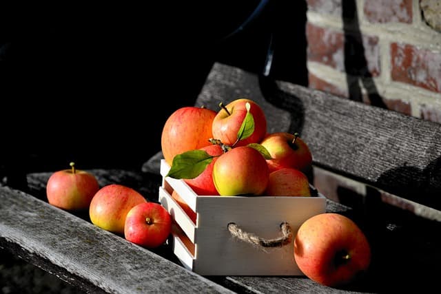 “We Started with One Box of Apples” – How Our Contribution Has Grown