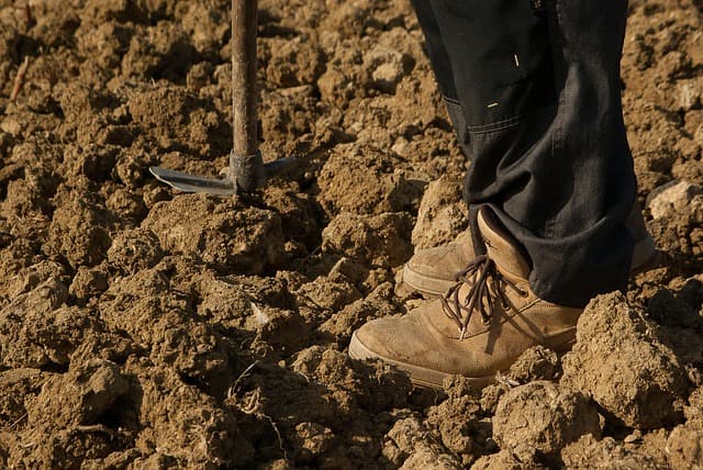 Little Farmer – Big Heart: The Story of a Young Participant