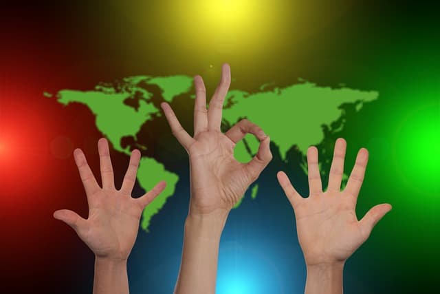 Last Year Results: How Much Food We Put Together in 2024